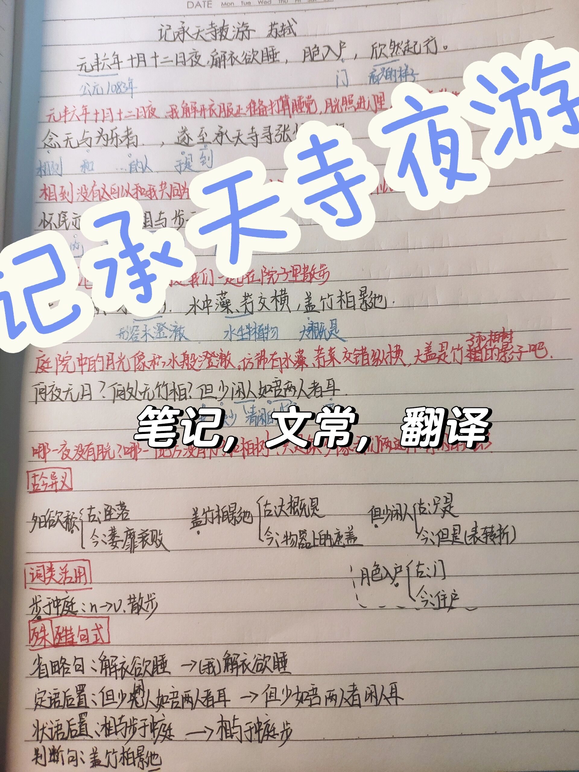 亚洲 -本泽马传射建功，泰山新星横空出世，场边球探频频记笔记的简单介绍